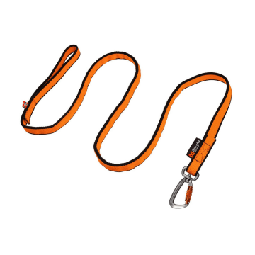 Bungee leash 2m