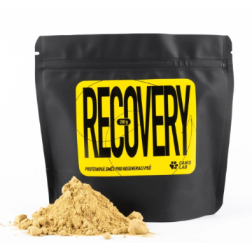 Recovery - 200g